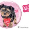 18″ / 46cm Studio Pets - Love You Terrier Qualatex #55232